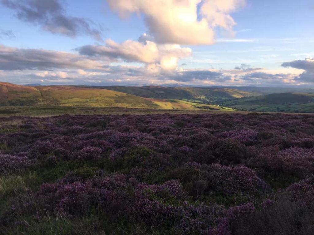 Nant-Y-Glyn Villa Ландриндод Уелс Екстериор снимка